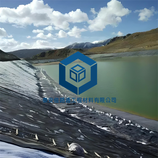 防滲土工膜的創(chuàng)新應(yīng)用與優(yōu)勢 防滲土工膜的創(chuàng)新應(yīng)用與優(yōu)勢