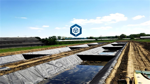 養(yǎng)殖防滲專(zhuān)用膜在魚(yú)塘養(yǎng)殖中的優(yōu)勢(shì) 養(yǎng)殖防滲專(zhuān)用膜在魚(yú)塘養(yǎng)殖中的優(yōu)勢(shì)